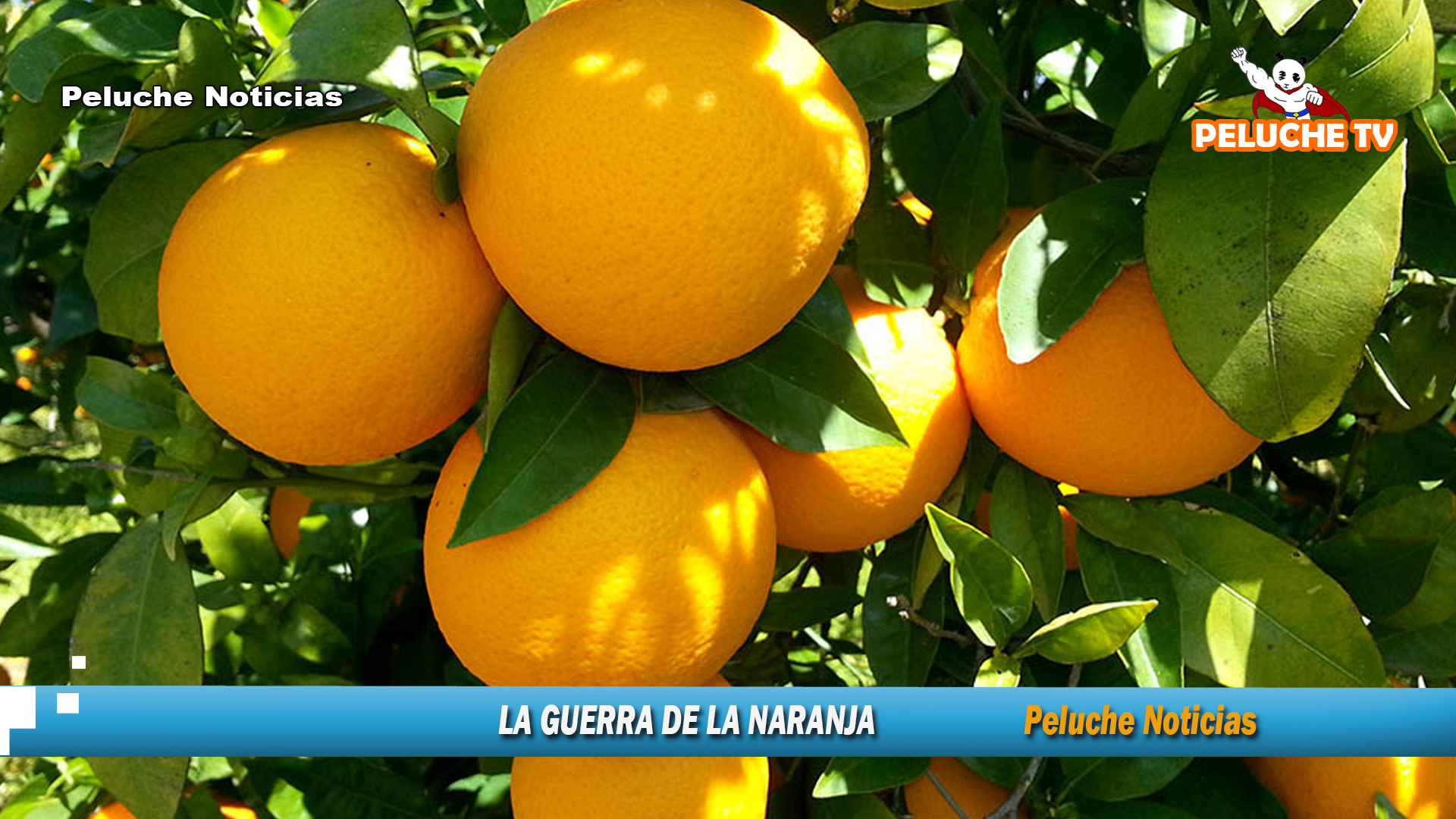 LA GUERRA DE LA NARANJA PELUCHE TV