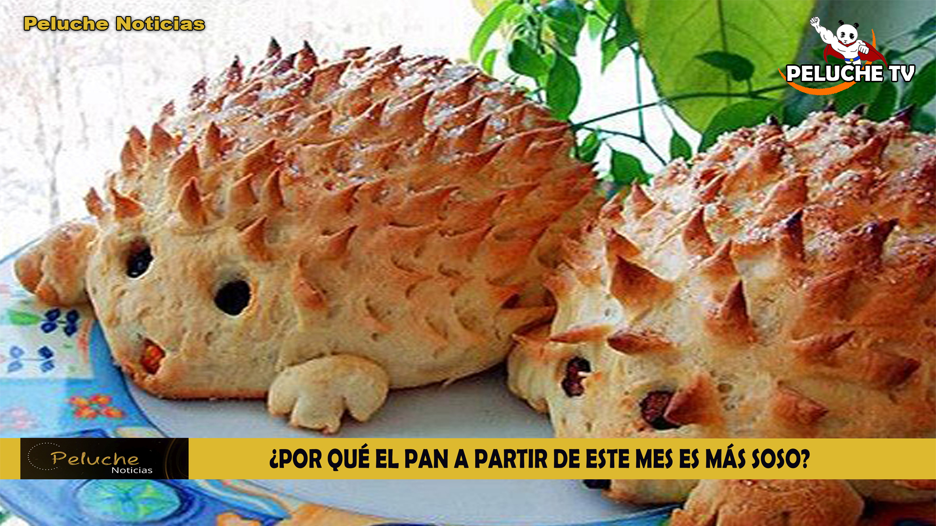 ¿POR QUÉ EL PAN A PARTIR DE ESTE MES ES MÁS SOSO? PELUCHE TV